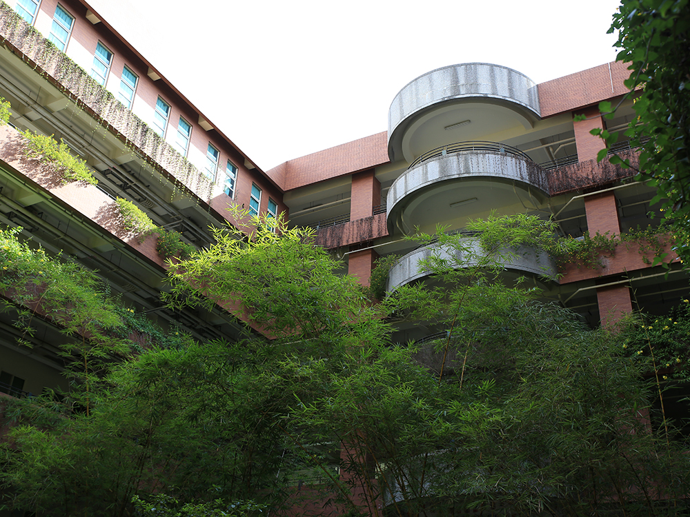 College of Humanities and Social Sciences